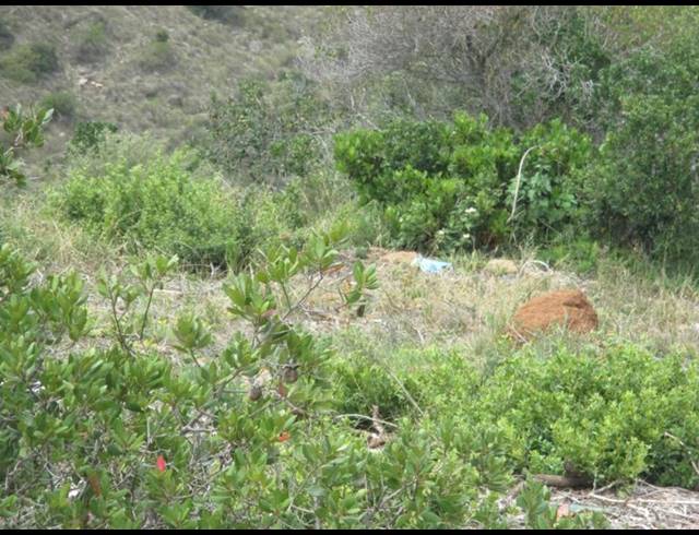 LAND FOR SALE IN MOSSEL BAY EXT 26